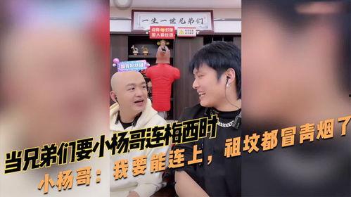 小杨哥兄弟互相爆料视频,小杨哥兄弟爆料视频大揭秘  第1张